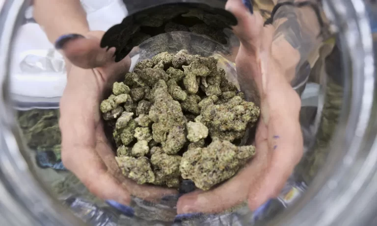 Cannabis Experience: Flavor Profiles and Preferences in weed Edibles
