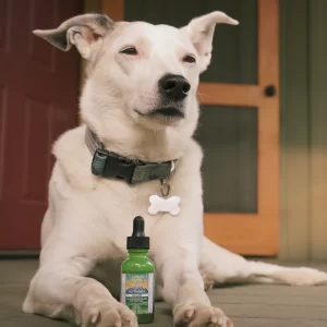 dog cbd oil scaled
