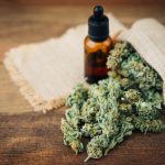does cbd oil work