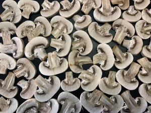 mushroom gummies online